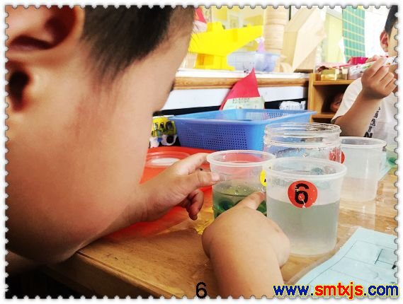 继续观察小涵的探索活动观察案例“水面升高了”